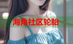 海角社区轮胎