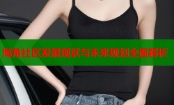 海角社区发展现状与未来规划全面解析