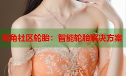 海角社区轮胎：智能轮胎解决方案