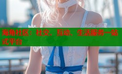 海角社区：社交、互动、生活服务一站式平台
