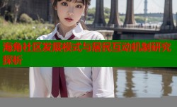 海角社区发展模式与居民互动机制研究探析