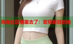 海角社区哪里去了：发现新目的地