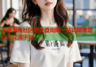 天涯海角社区地址查询网一站式精准定位与交流平台