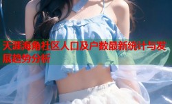 天涯海角社区人口及户数最新统计与发展趋势分析