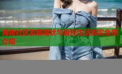 海角社区发展现状与居民生活真实全景介绍