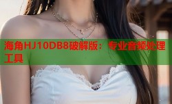 海角HJ10DB8破解版：专业音频处理工具
