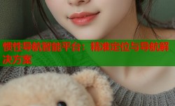 惯性导航智能平台：精准定位与导航解决方案