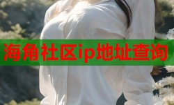 海角社区ip地址查询