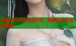 海角社区开放时间公布，畅享互动交流新体验