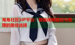 海角社区SIP平台：智能视频监控与管理的最佳选择