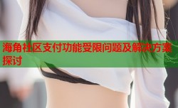 海角社区支付功能受限问题及解决方案探讨