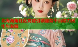 北海海角社区党建引领服务平台助力民生与发展