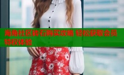 海角社区砖石购买攻略 轻松获取会员特权体验