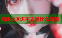 海角社区进不去是什么原因