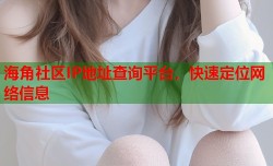 海角社区IP地址查询平台，快速定位网络信息