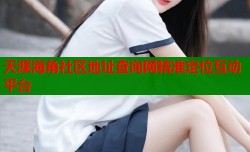 天涯海角社区地址查询网精准定位互动平台