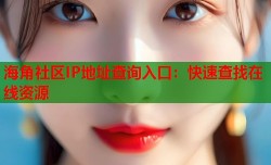 海角社区IP地址查询入口：快速查找在线资源