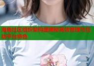 海角社区组织架构图揭秘高效管理与互动平台特色