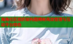 海角社区组织架构图揭秘高效管理与互动平台特色
