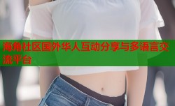 海角社区国外华人互动分享与多语言交流平台