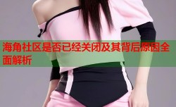 海角社区是否已经关闭及其背后原因全面解析
