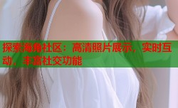 探索海角社区：高清照片展示，实时互动，丰富社交功能