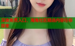 深夜免费入口，海角社区精选内容任你探索