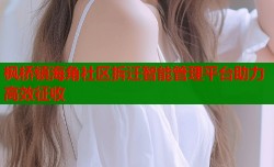 枫桥镇海角社区拆迁智能管理平台助力高效征收
