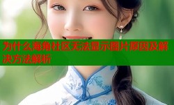 为什么海角社区无法显示图片原因及解决方法解析