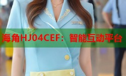海角HJ04CEF：智能互动平台