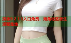 深夜9 2 1 5入口免费，海角社区夜生活聚集地
