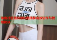 海角社区组织架构图揭秘高效协作与管理秘诀