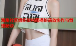 海角社区组织架构图揭秘高效协作与管理秘诀