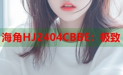 海角HJ2404CBBE：极致