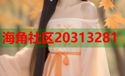 海角社区20313281