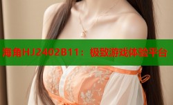 海角HJ2402B11：极致游戏体验平台