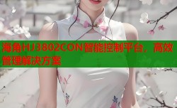 海角HJ3802CON智能控制平台，高效管理解决方案