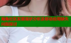 海角社区发展现状分析及移动应用缺失问题探讨