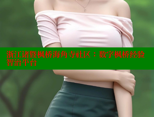 浙江诸暨枫桥海角寺社区：数字枫桥经验智治平台 海角社区网站 第2张