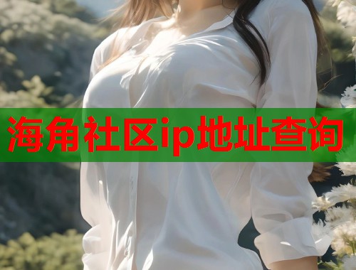 海角社区ip地址查询  第1张