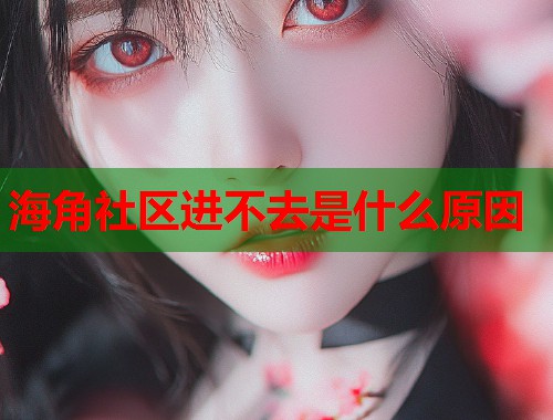 海角社区进不去是什么原因  第1张