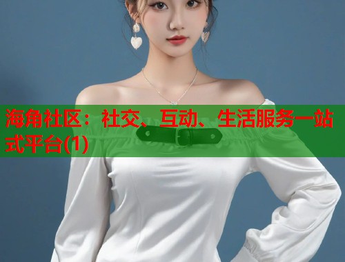 海角社区：社交、互动、生活服务一站式平台(1)  第1张