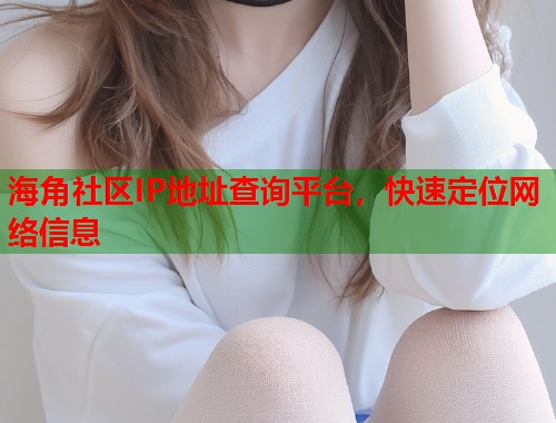 海角社区IP地址查询平台，快速定位网络信息  第1张