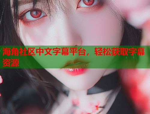 海角社区中文字幕平台，轻松获取字幕资源  第1张