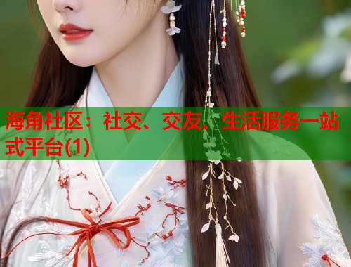 海角社区：社交、交友、生活服务一站式平台(1)  第1张