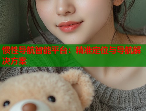 惯性导航智能平台：精准定位与导航解决方案  第1张