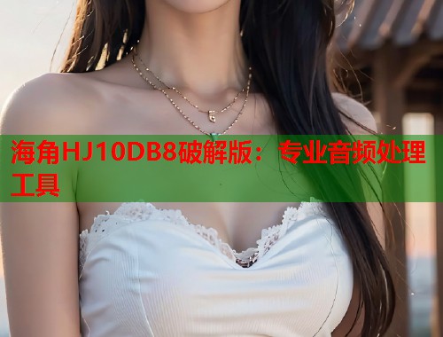 海角HJ10DB8破解版：专业音频处理工具  第1张