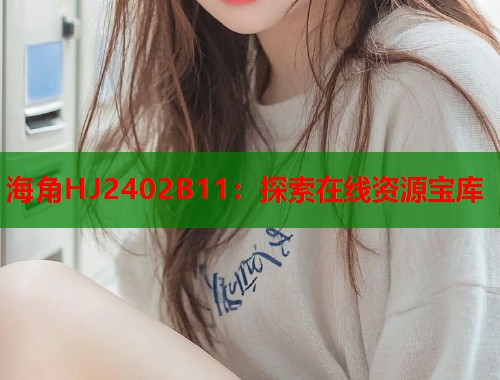 海角HJ2402B11：探索在线资源宝库  第1张
