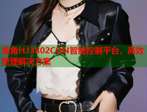 海角HJ3802CON智能控制平台，高效管理解决方案  第2张