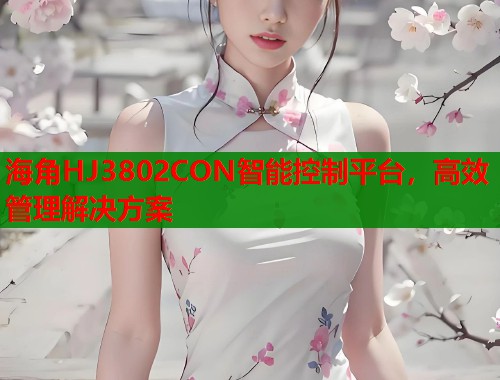 海角HJ3802CON智能控制平台，高效管理解决方案  第1张